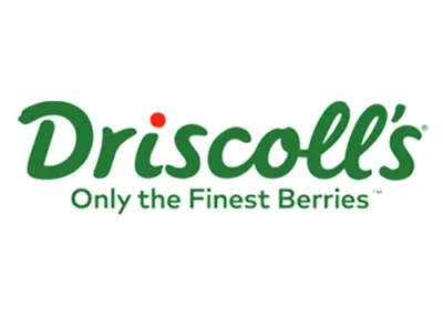 logo driscolls