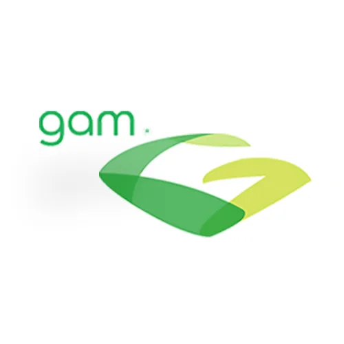 logo gam
